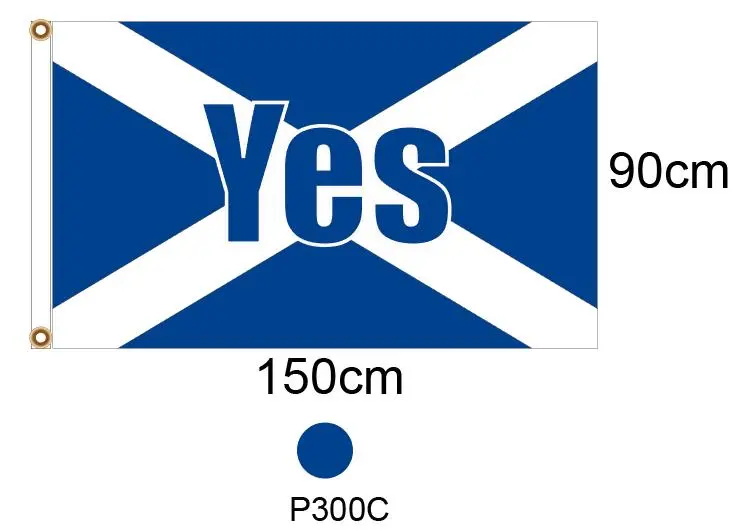 Referendum scozzese Sì Bandiere